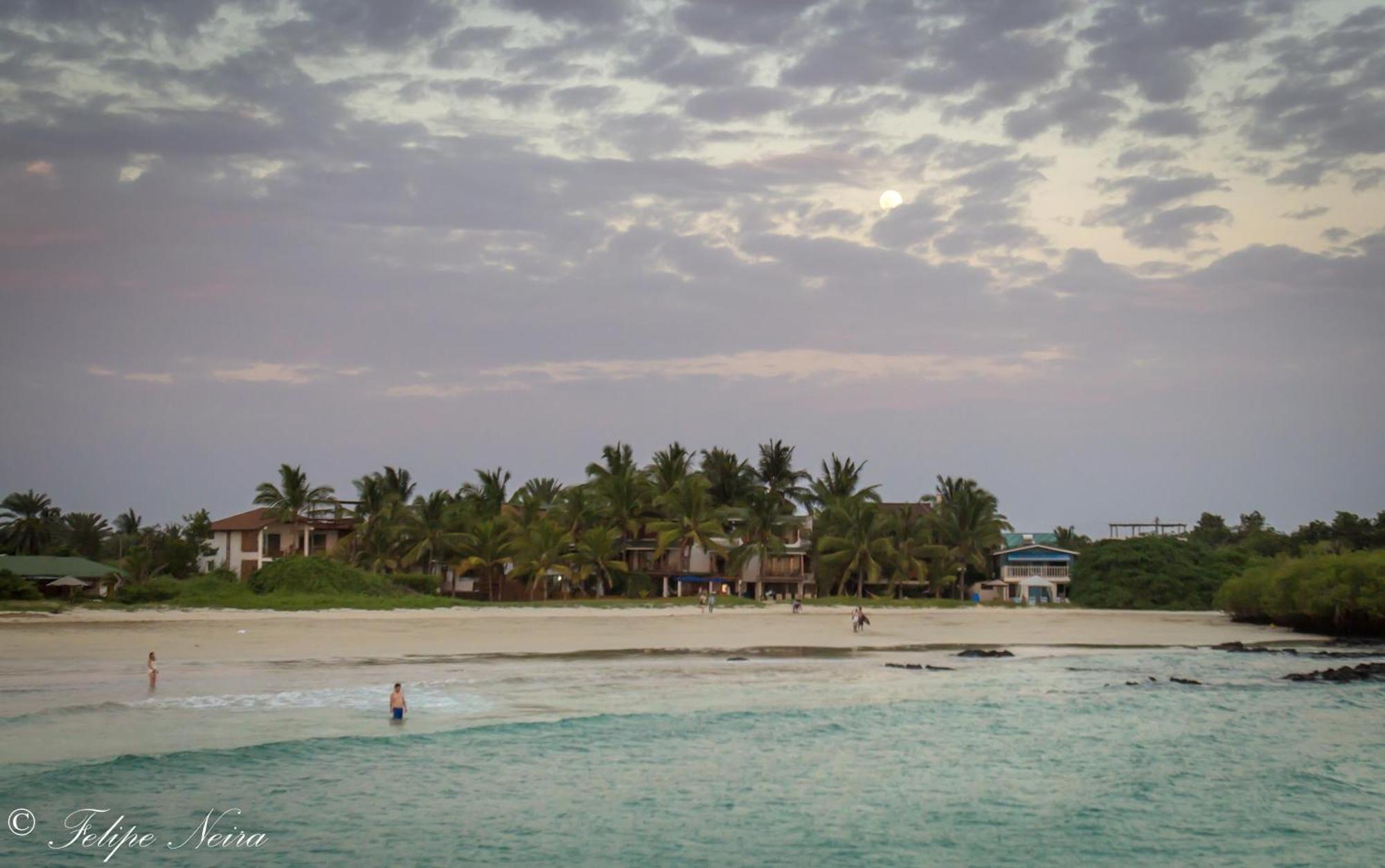 The Isabela Beach House Puerto Villamil Exterior foto